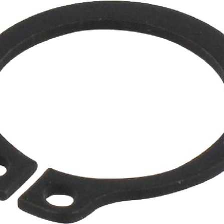 Snapper Tuff Torq OE - 22242000160 - Ring