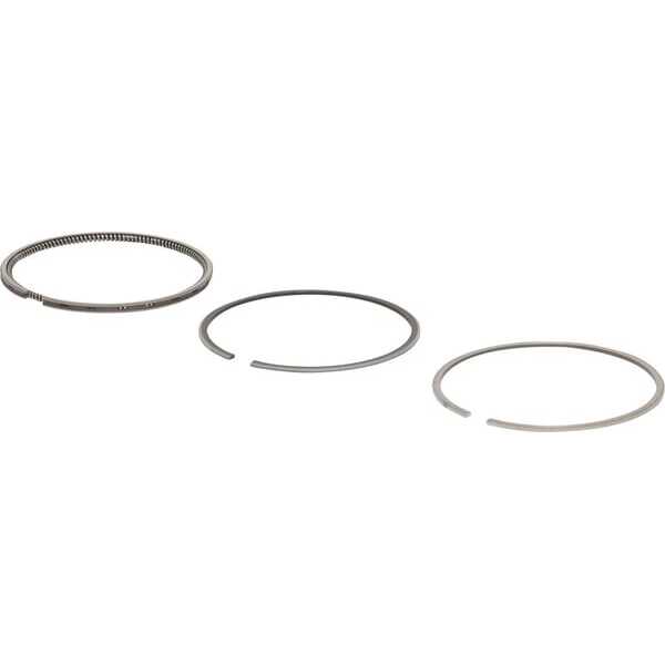 BS  - 2992825512 - Ringsæt standard
