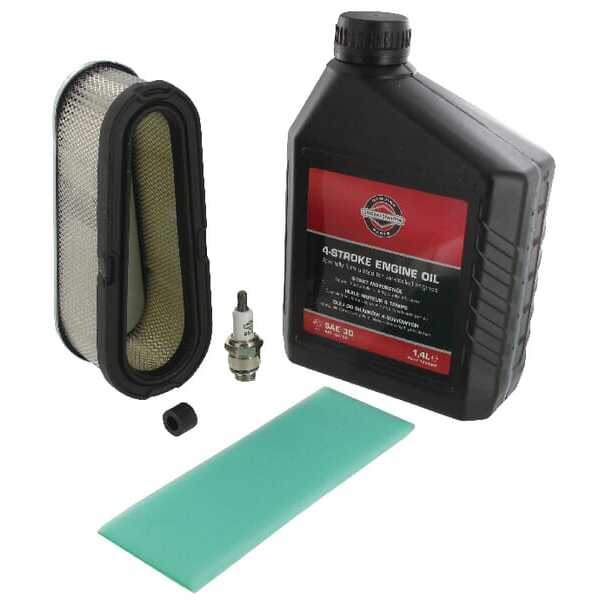 BS  - 2992992237 - Tune-up M19 M28 10.5-16HP side