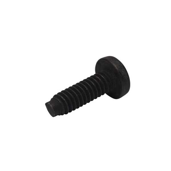 BS Bolzen OE - 696255 - Schraube