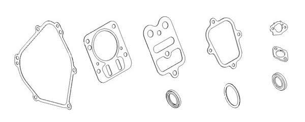 Briggs & Stratton Dichtungssatz - 798540 - Dichtungssatz